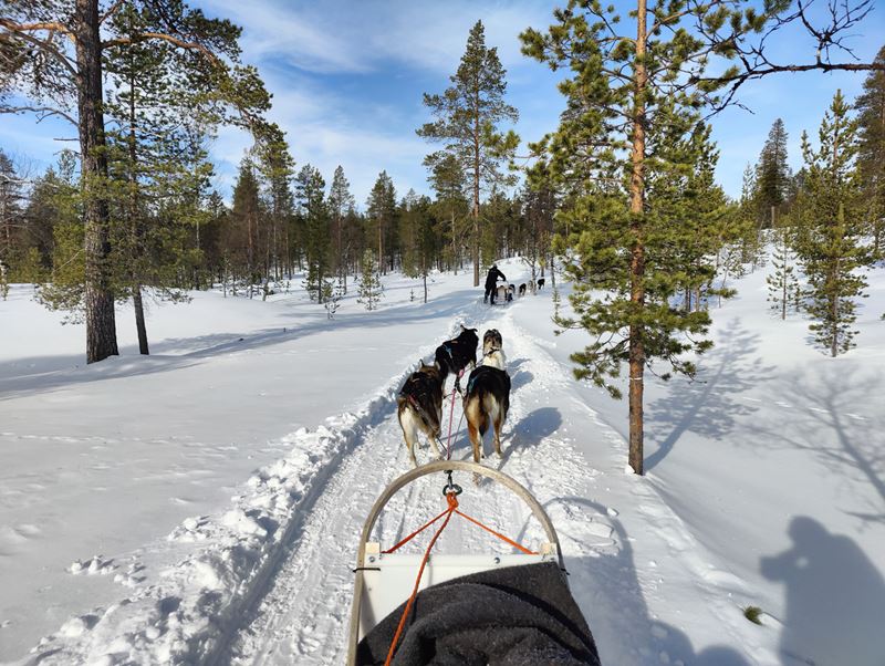 Saariselkä_2023 1132.jpg