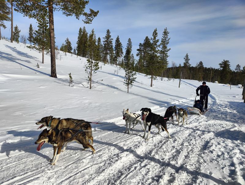 Saariselkä_2023 1144.jpg
