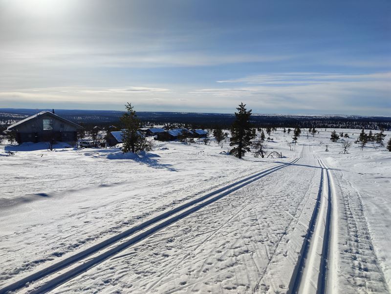 Saariselkä_2023 1363.jpg