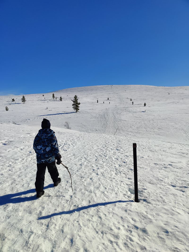 Saariselkä_2023 1402.jpg