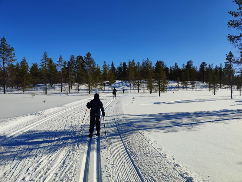 Saariselkä_2023 783.jpg
