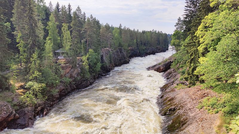 Imatrankoski ja kruununpuisto_1920x1080.jpg