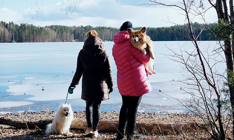 loma-lemmikin-kanssa-artikkeli_4.jpg