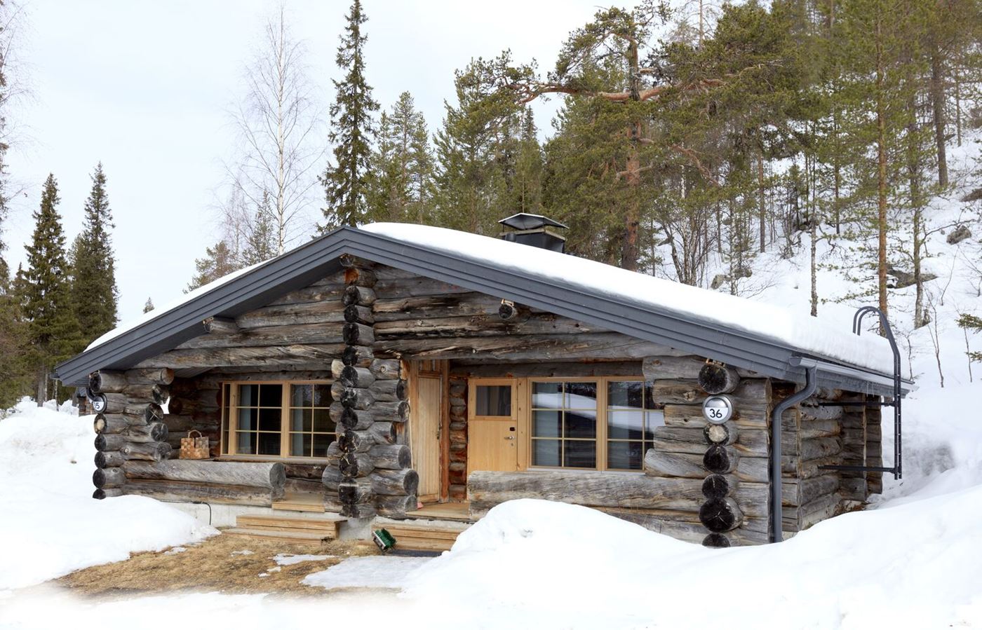 salla-kelorinne_2.jpg