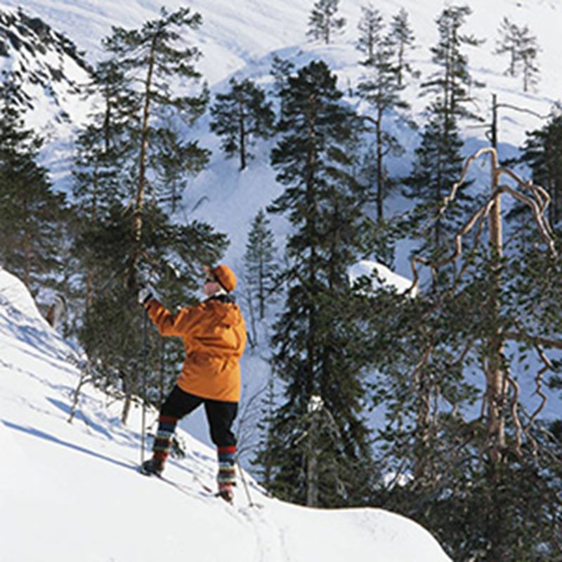 pyha-recreation-1.jpg