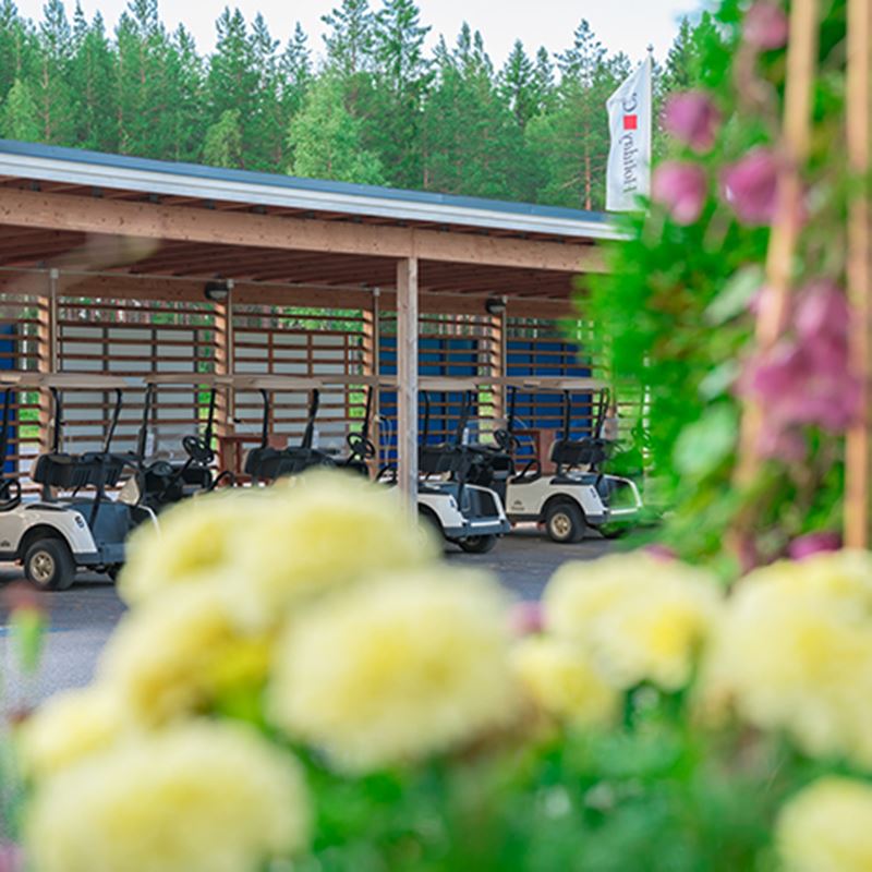Saimaa_golf_cars_squ.jpg