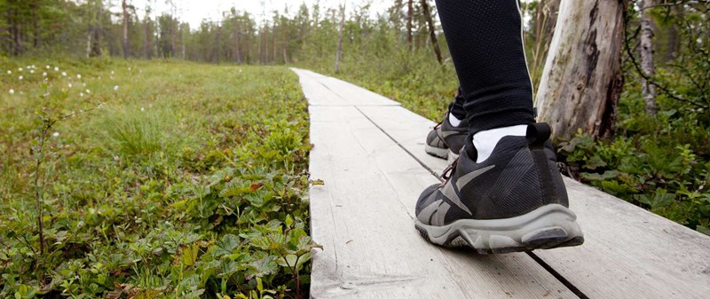 Tahko_aktiviteetit_kesä_1483 x 625.png