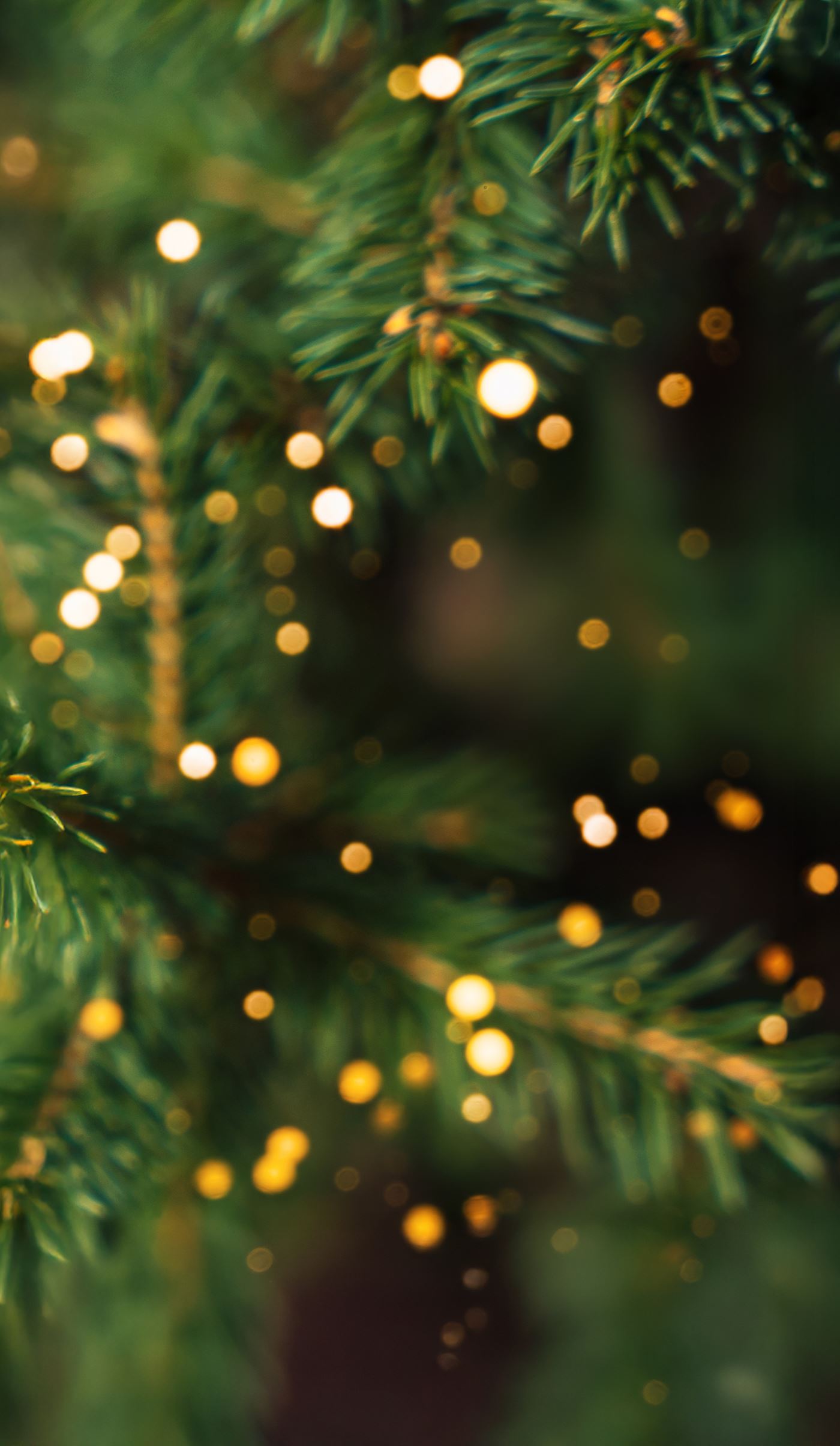 Joululomalle lompsis!